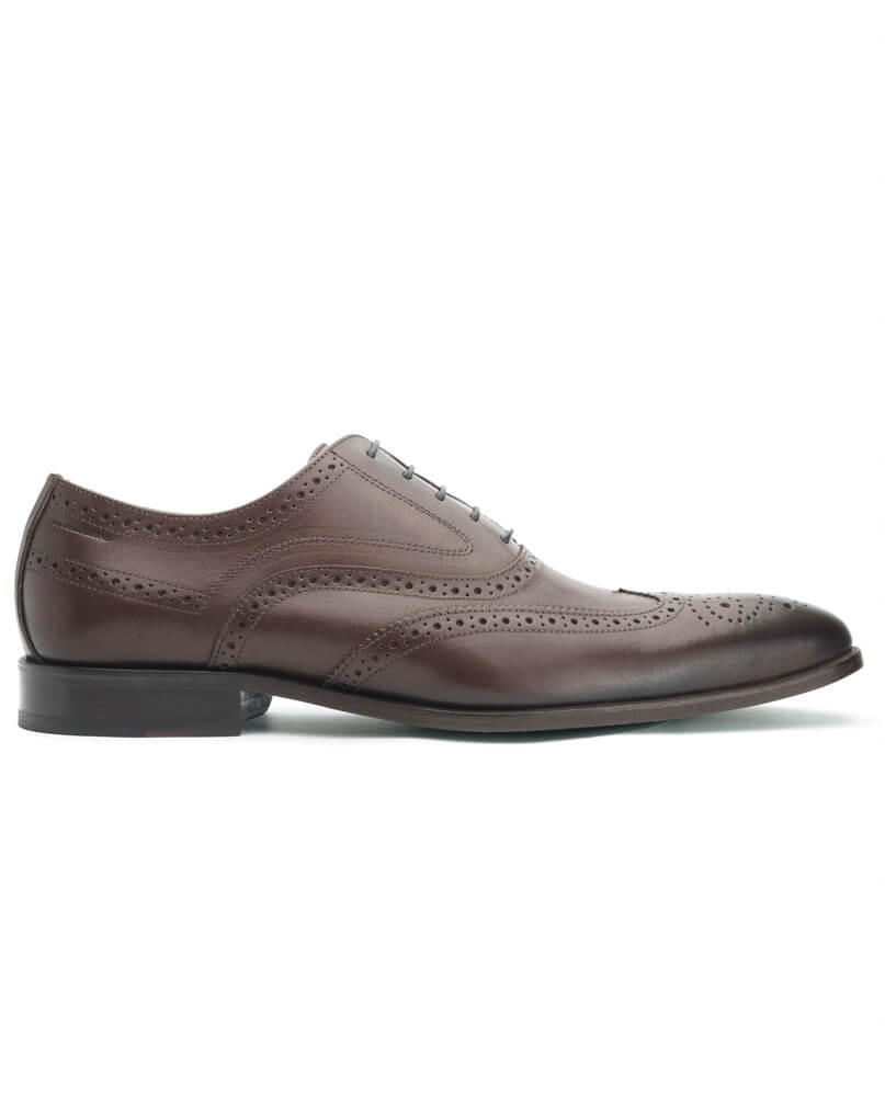 Sapato Oxford Brogue Sicilia